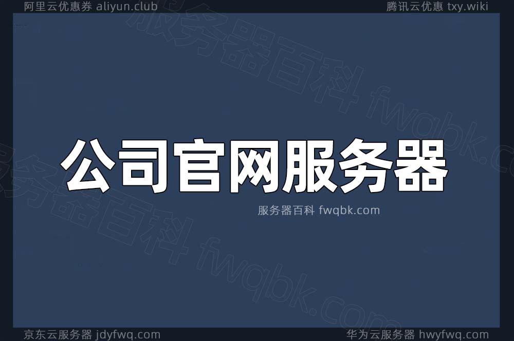 公司官网服务器配置价格